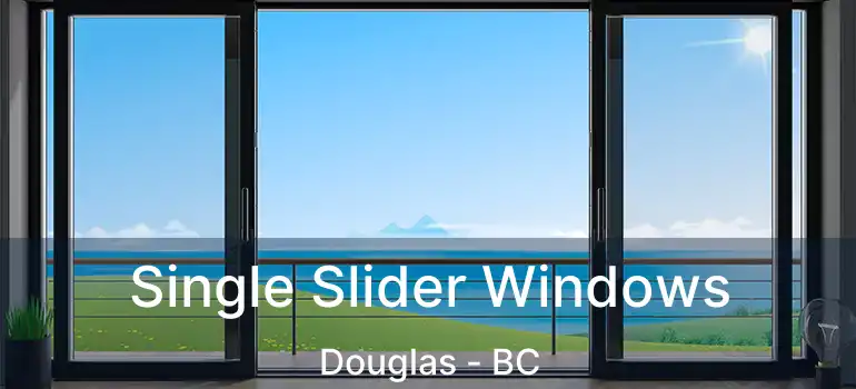  Single Slider Windows Douglas - BC