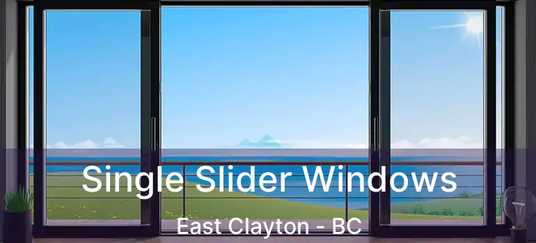  Single Slider Windows East Clayton - BC