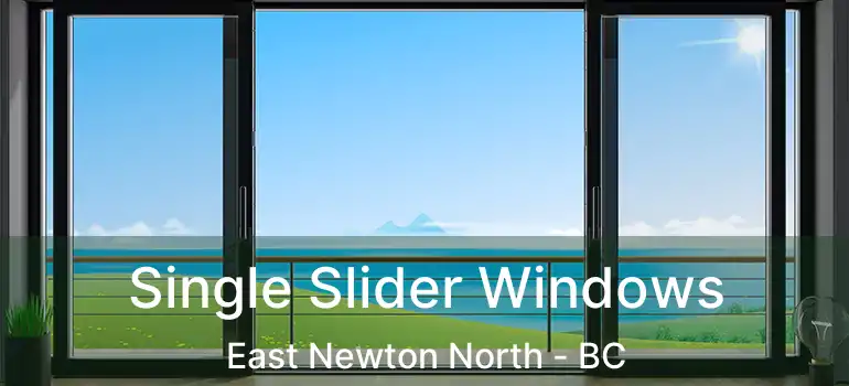  Single Slider Windows East Newton North - BC