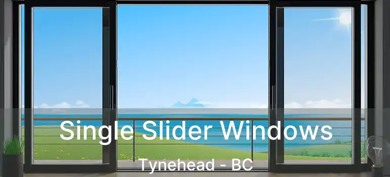  Single Slider Windows Tynehead - BC