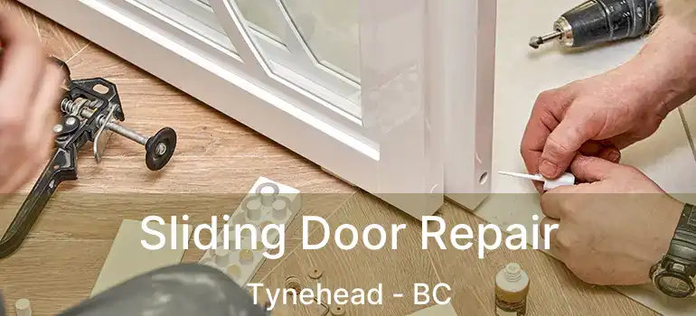  Sliding Door Repair Tynehead - BC