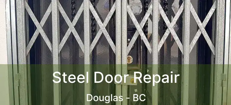  Steel Door Repair Douglas - BC