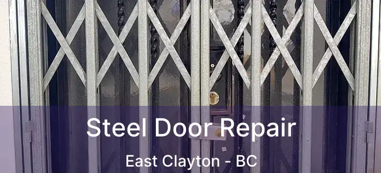  Steel Door Repair East Clayton - BC