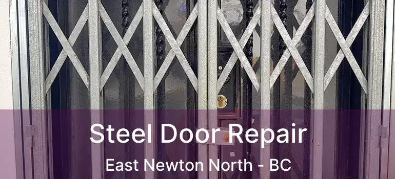 Steel Door Repair East Newton North - BC