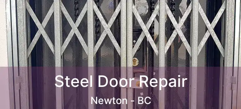  Steel Door Repair Newton - BC