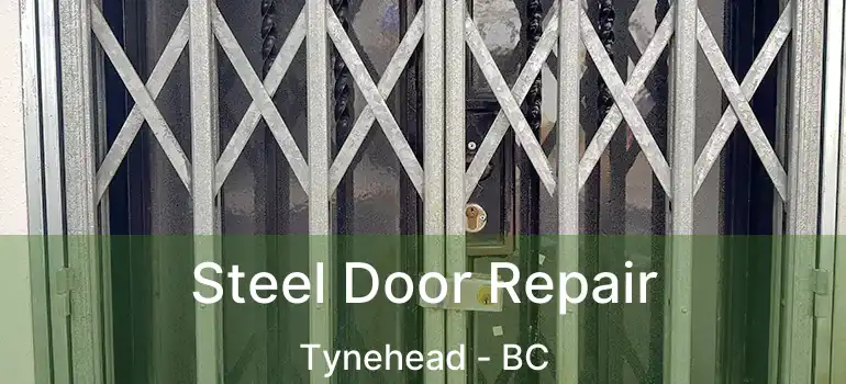  Steel Door Repair Tynehead - BC