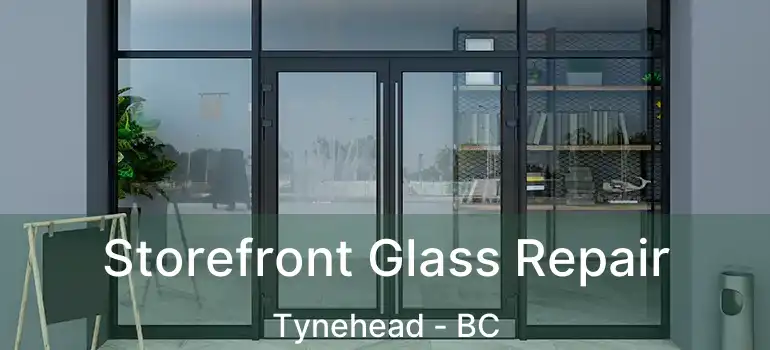  Storefront Glass Repair Tynehead - BC