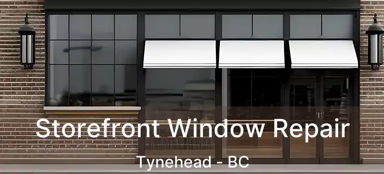  Storefront Window Repair Tynehead - BC