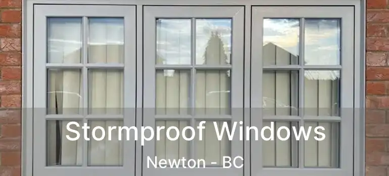  Stormproof Windows Newton - BC