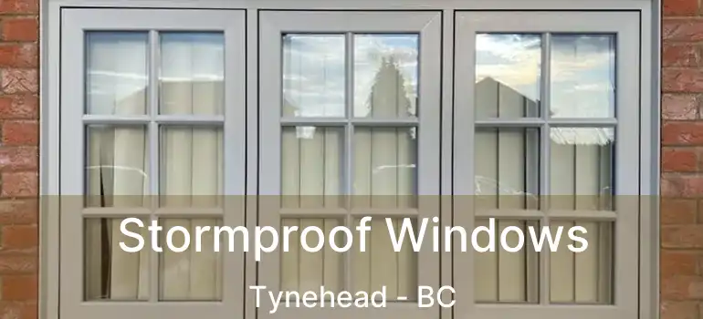  Stormproof Windows Tynehead - BC