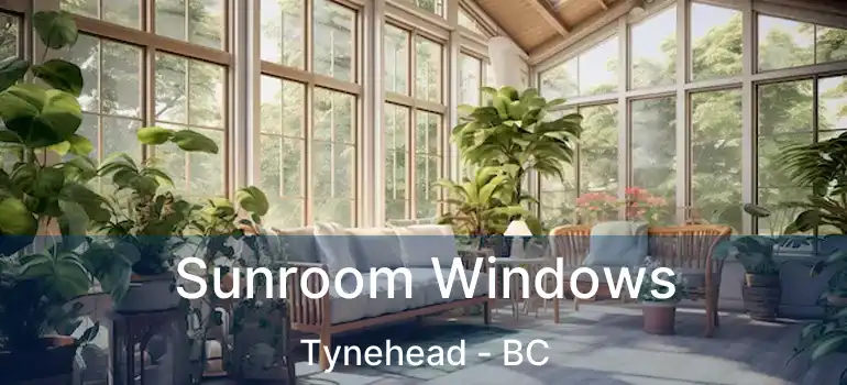  Sunroom Windows Tynehead - BC