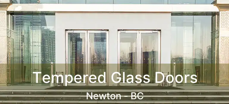  Tempered Glass Doors Newton - BC