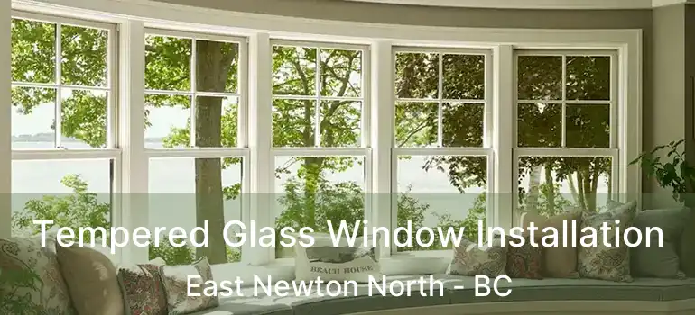  Tempered Glass Window Installation East Newton North - BC