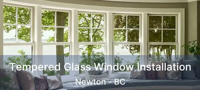  Tempered Glass Window Installation Newton - BC