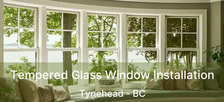  Tempered Glass Window Installation Tynehead - BC