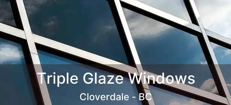  Triple Glaze Windows Cloverdale - BC