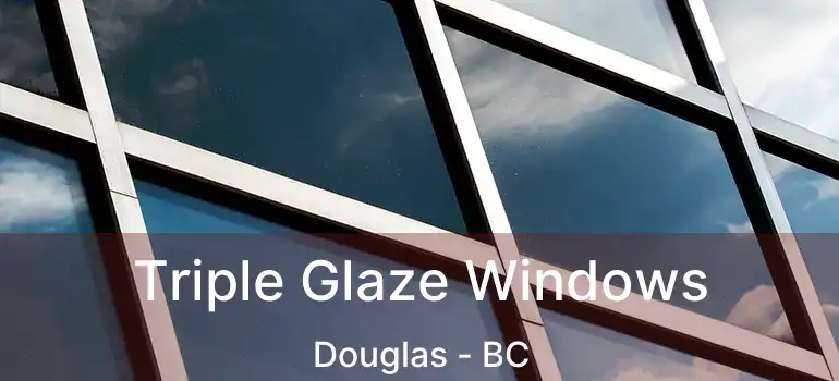  Triple Glaze Windows Douglas - BC