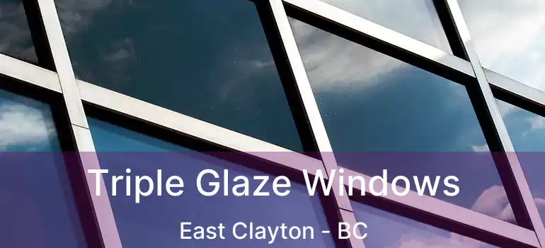  Triple Glaze Windows East Clayton - BC