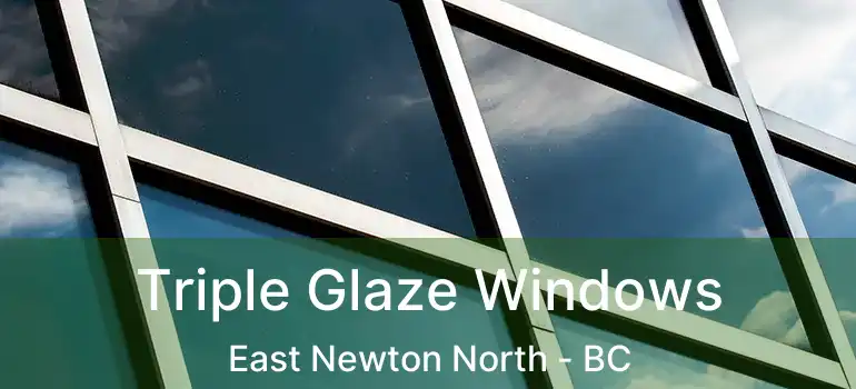  Triple Glaze Windows East Newton North - BC