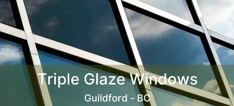  Triple Glaze Windows Guildford - BC