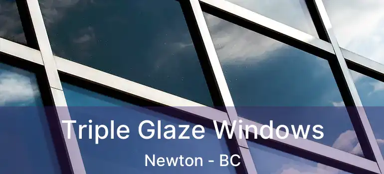  Triple Glaze Windows Newton - BC