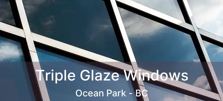  Triple Glaze Windows Ocean Park - BC