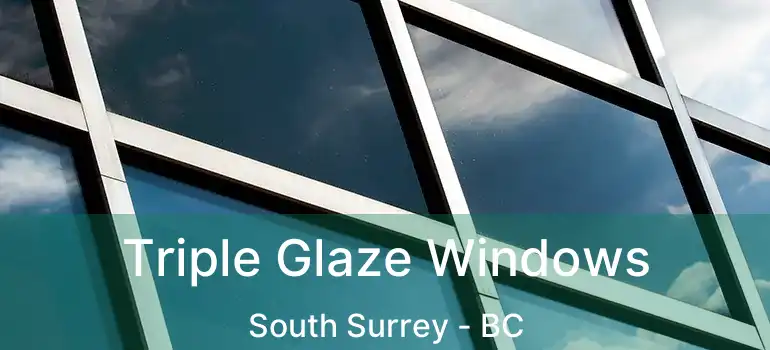  Triple Glaze Windows South Surrey - BC