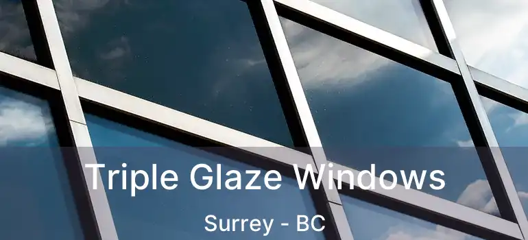 Triple Glaze Windows Surrey - BC