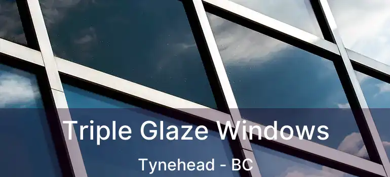  Triple Glaze Windows Tynehead - BC