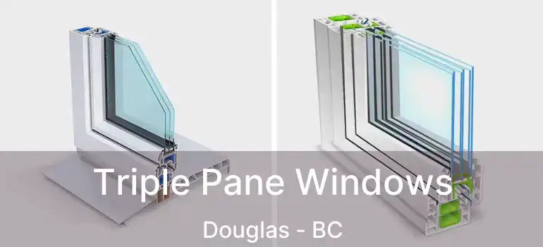  Triple Pane Windows Douglas - BC