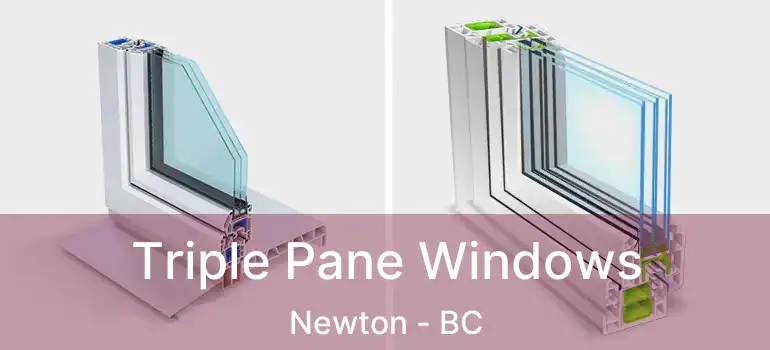  Triple Pane Windows Newton - BC