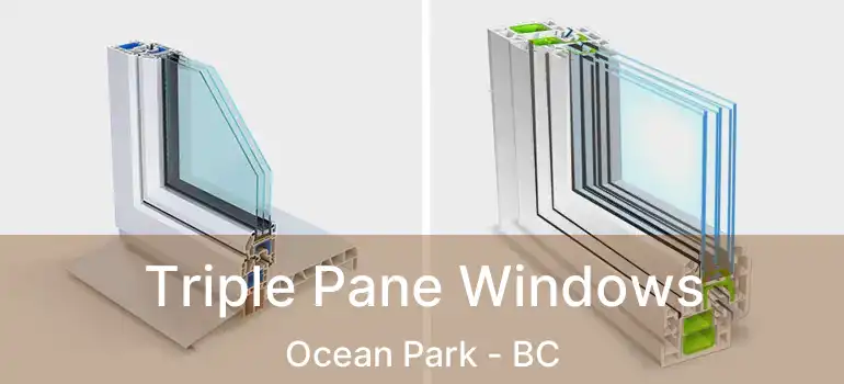  Triple Pane Windows Ocean Park - BC