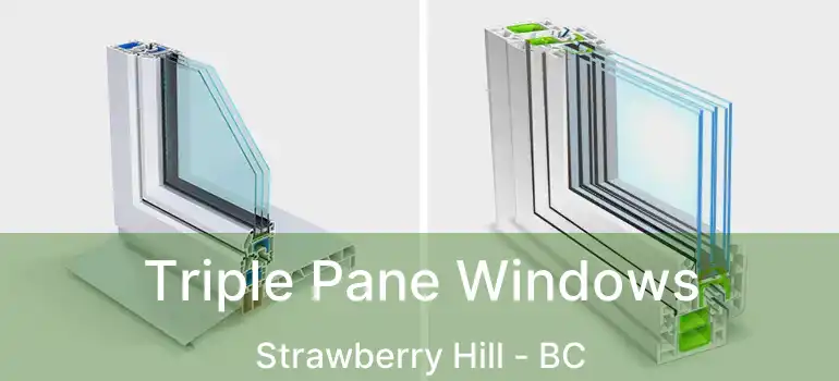  Triple Pane Windows Strawberry Hill - BC