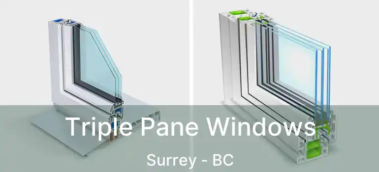 Triple Pane Windows Surrey - BC
