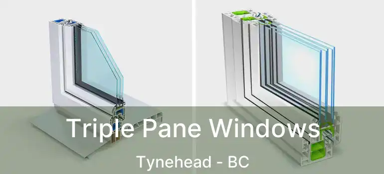  Triple Pane Windows Tynehead - BC
