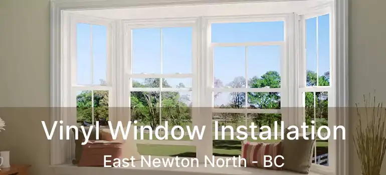 Vinyl Window Installation East Newton North - BC