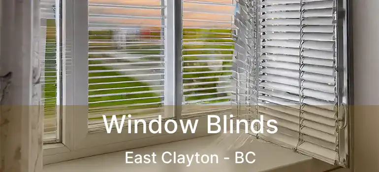  Window Blinds East Clayton - BC