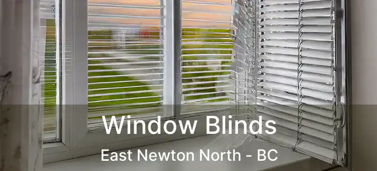  Window Blinds East Newton North - BC