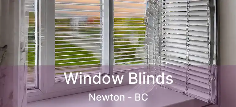  Window Blinds Newton - BC