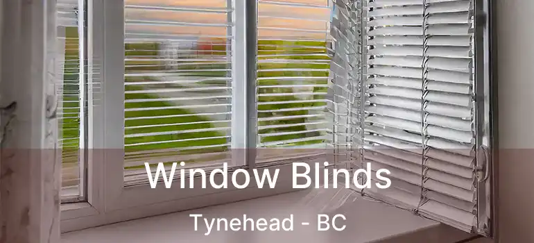  Window Blinds Tynehead - BC