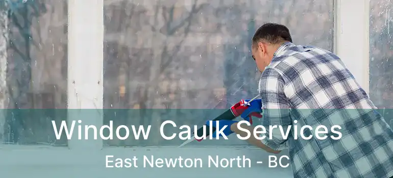  Window Caulk Services East Newton North - BC