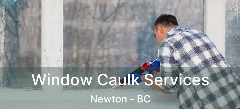  Window Caulk Services Newton - BC