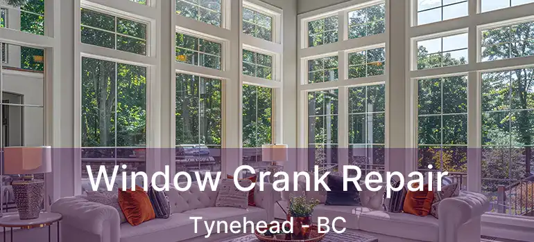 Window Crank Repair Tynehead - BC