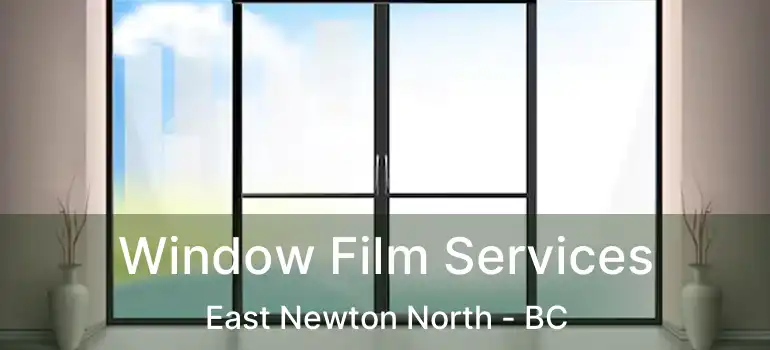  Window Film Services East Newton North - BC
