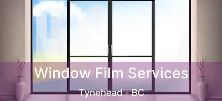  Window Film Services Tynehead - BC