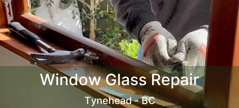  Window Glass Repair Tynehead - BC