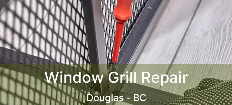  Window Grill Repair Douglas - BC