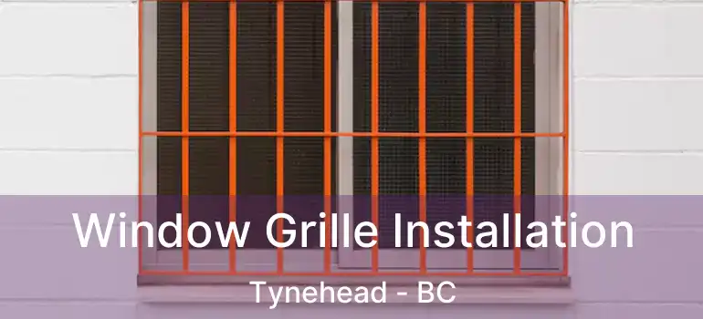  Window Grille Installation Tynehead - BC
