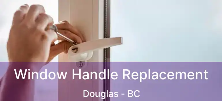  Window Handle Replacement Douglas - BC