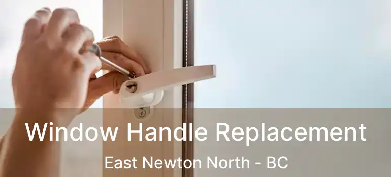  Window Handle Replacement East Newton North - BC